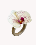 Porta-guardanapo Orquídea Pintadinha