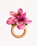 Porta-guardanapo Astromélia Rosa Escuro