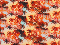 Americano estampado "MIAMI"