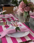 Americano "Listras" Pink & White
